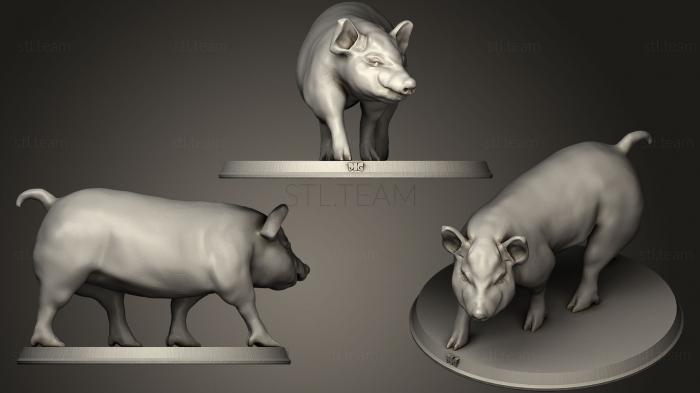 3D model Pig (STL)